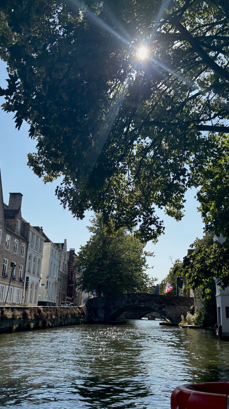Looking down a canal from the boat, sun through the trees