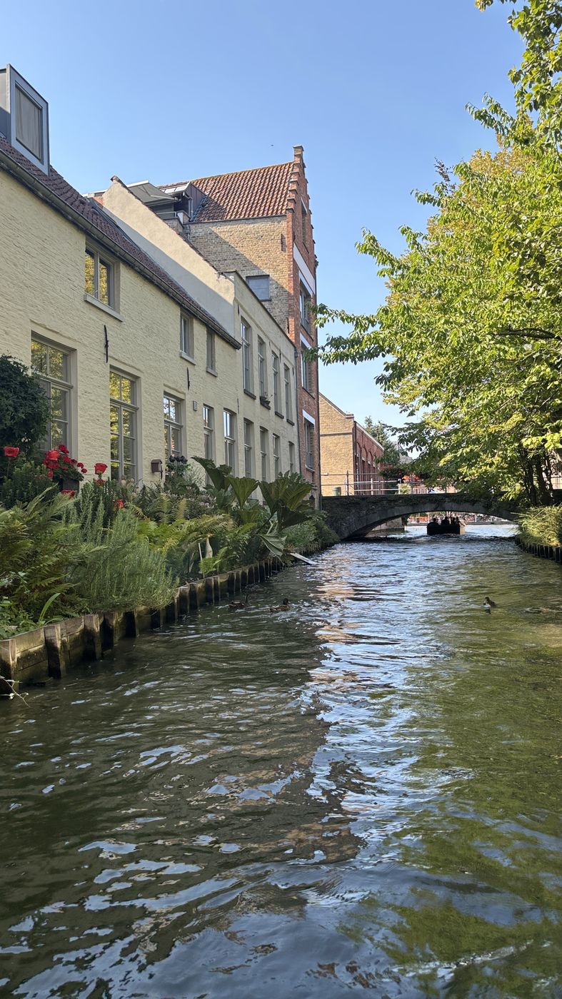 A narrow canal lined with gardens, from the boat