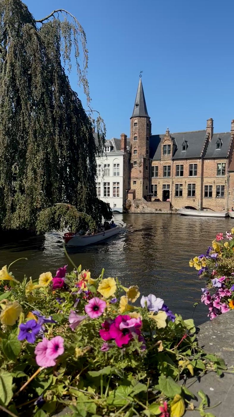 Flower boxes along a canal with step-gabled houses behind