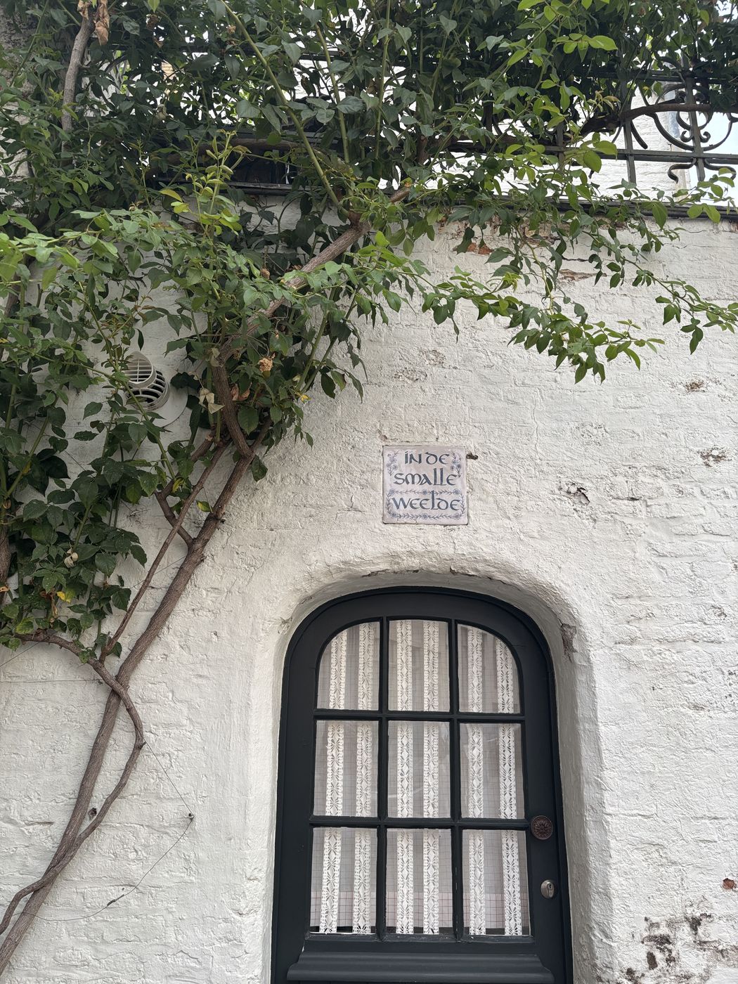 A whitewashed wall with a black-framed window and climbing vine