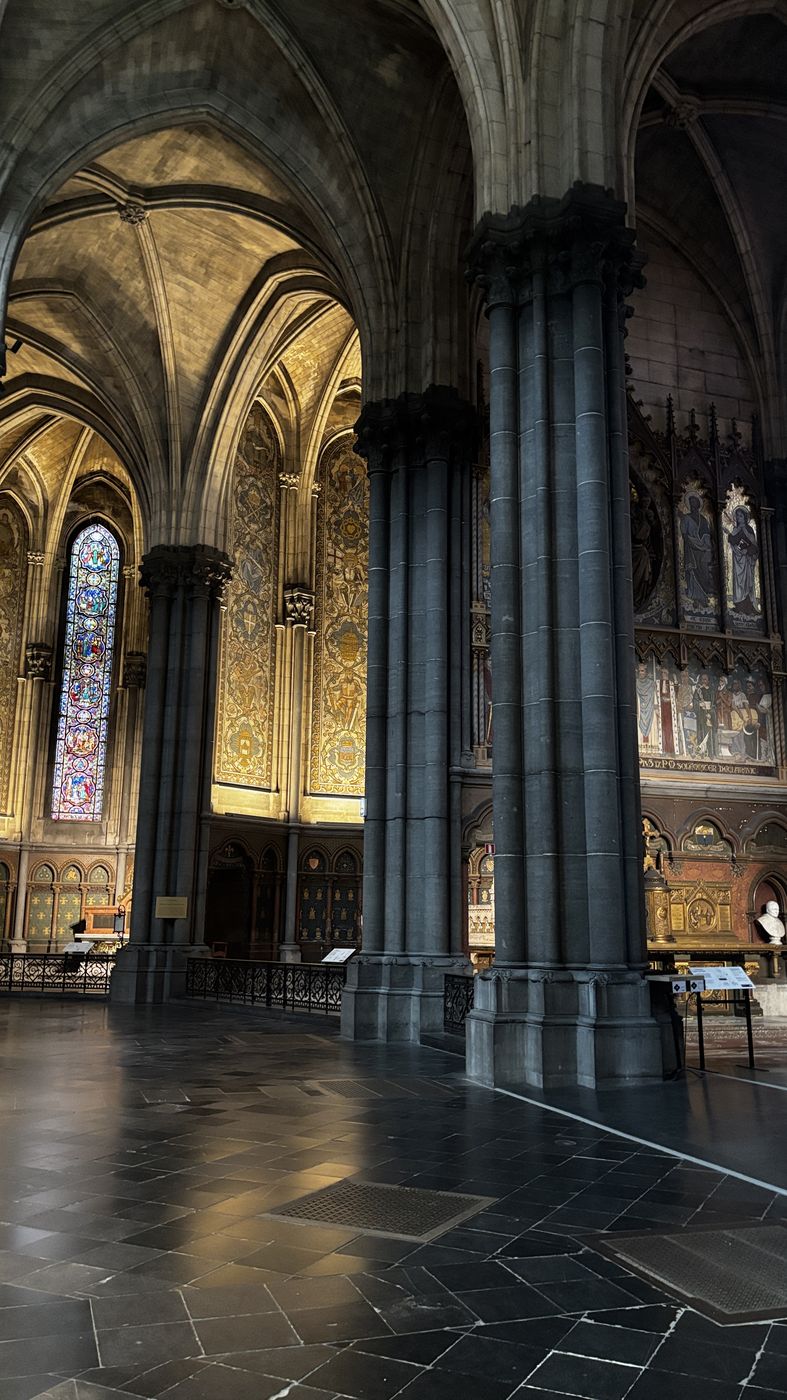 The nave of Notre-Dame-de-la-Treille